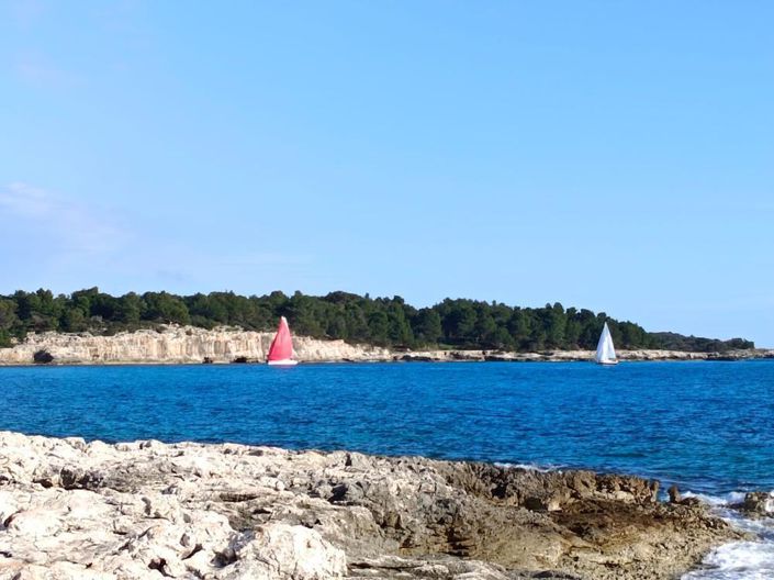 Image No.14-5 Bed Property for sale