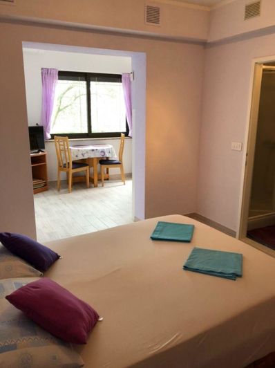 Image No.8-Propriété de 8 chambres à vendre à Novigrad