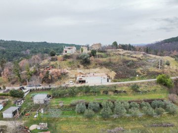 131776-519237