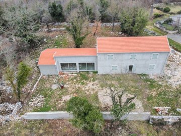 131769-519201