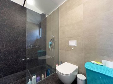 117646-508573