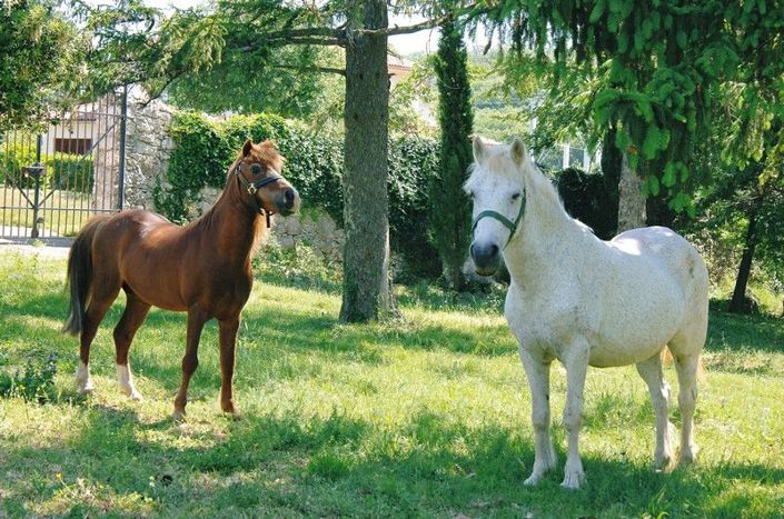 Image No.14-50 Bed Property for sale