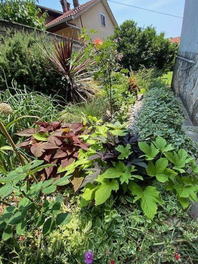 Image No.8-Propriété de 8 chambres à vendre à Opatija