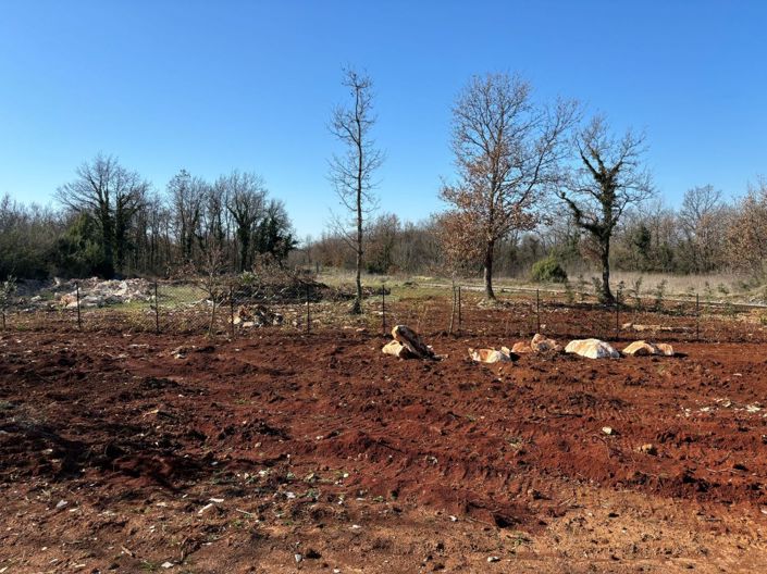 Image No.6-Propriété de 3 chambres à vendre à Svetvincenat