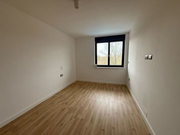 136365-525142
