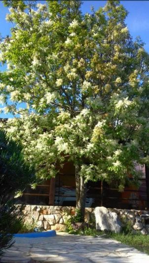 Image No.6-5 Bed Property for sale