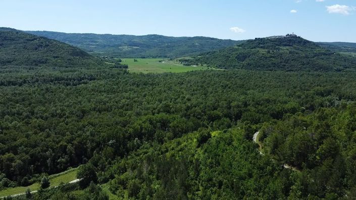 Image No.7-Propriété de 6 chambres à vendre à Motovun