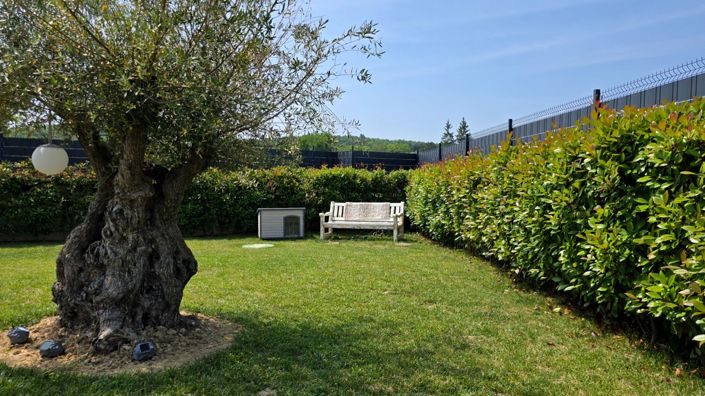 Image No.9-Propriété de 4 chambres à vendre à Motovun