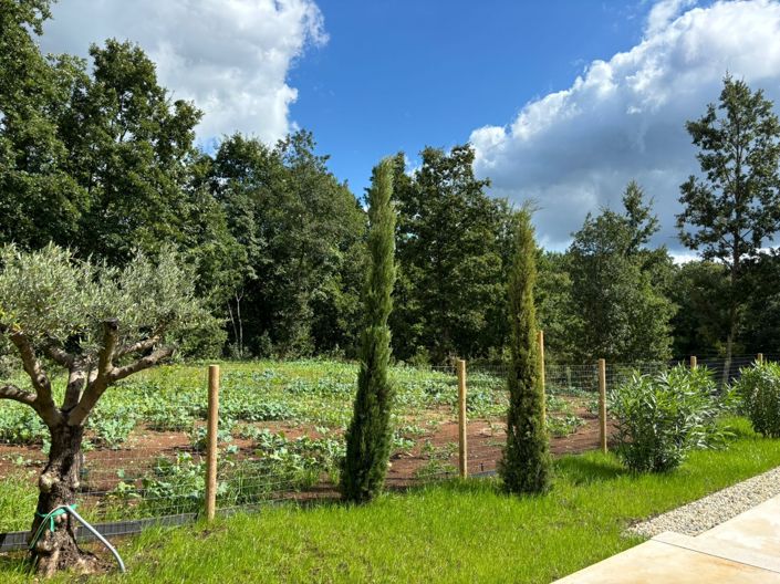 Image No.3-Propriété de 3 chambres à vendre à Pazin