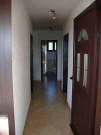 145570-554922
