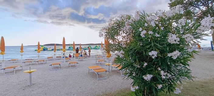 Image No.3-Propriété de 3 chambres à vendre à Fažana