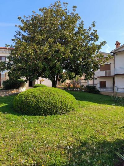 Image No.13-Propriété de 5 chambres à vendre à Umag