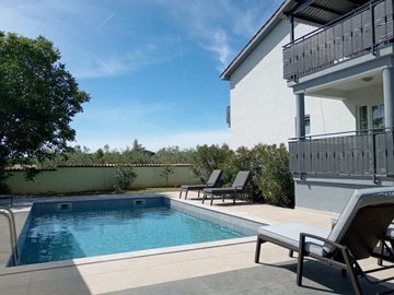 146991-559702