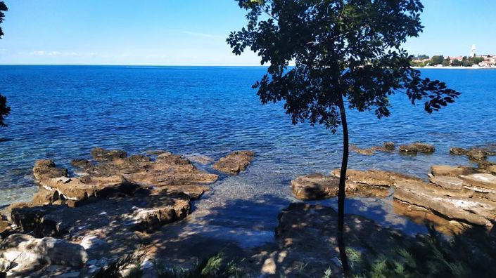 Image No.12-Propriété de 6 chambres à vendre à Umag