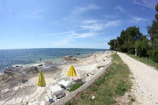 Image No.19-4 Bed Property for sale