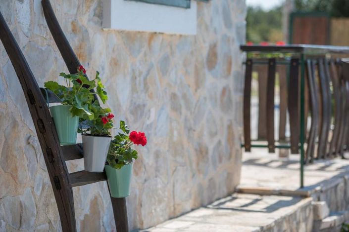 Image No.10-Propriété de 3 chambres à vendre à Rogoznica