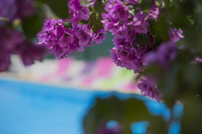 Image No.11-20 Bed Property for sale