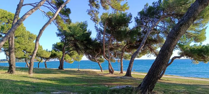 Image No.18-5 Bed Property for sale