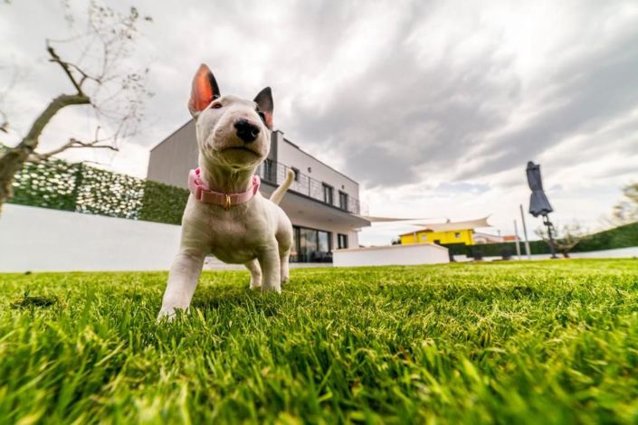 Image No.9-Propriété de 4 chambres à vendre à Porec