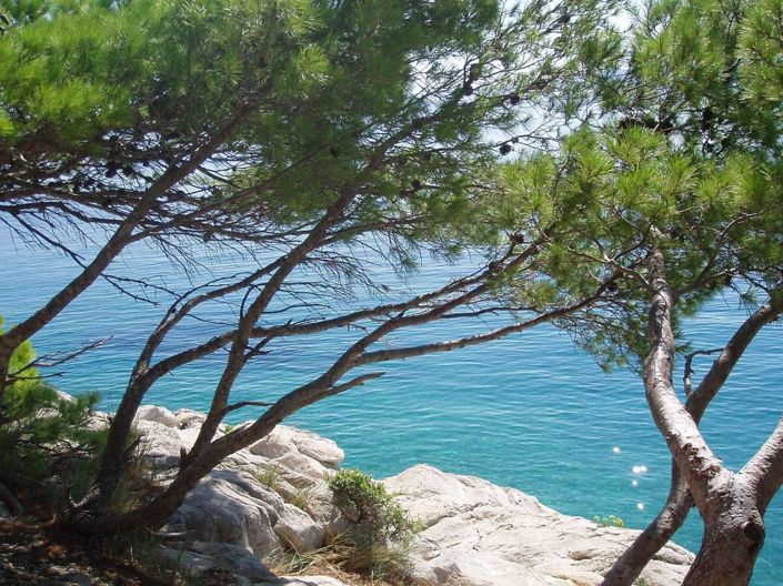 Image No.2-Propriété de 6 chambres à vendre à Pisak