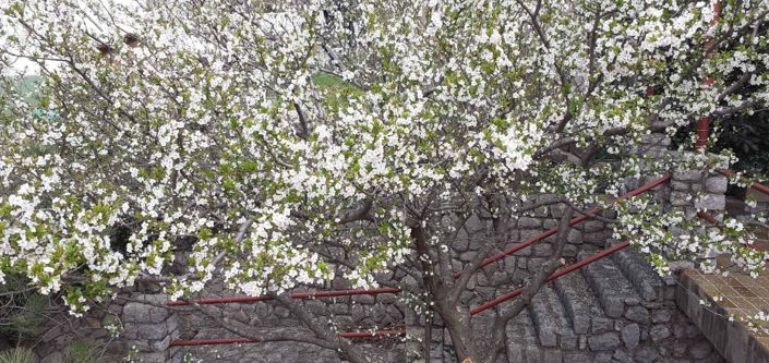 Image No.9-5 Bed Property for sale