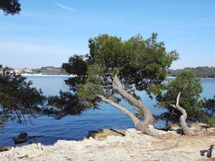 Image No.23-Propriété de 4 chambres à vendre à Rovinj