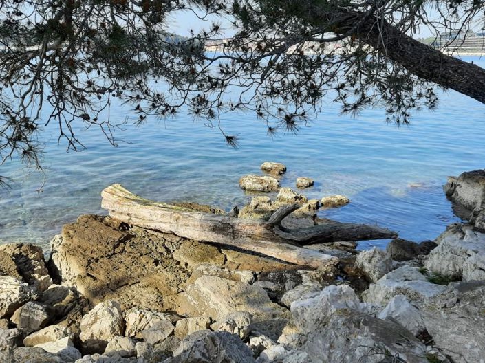 Image No.24-Propriété de 4 chambres à vendre à Rovinj