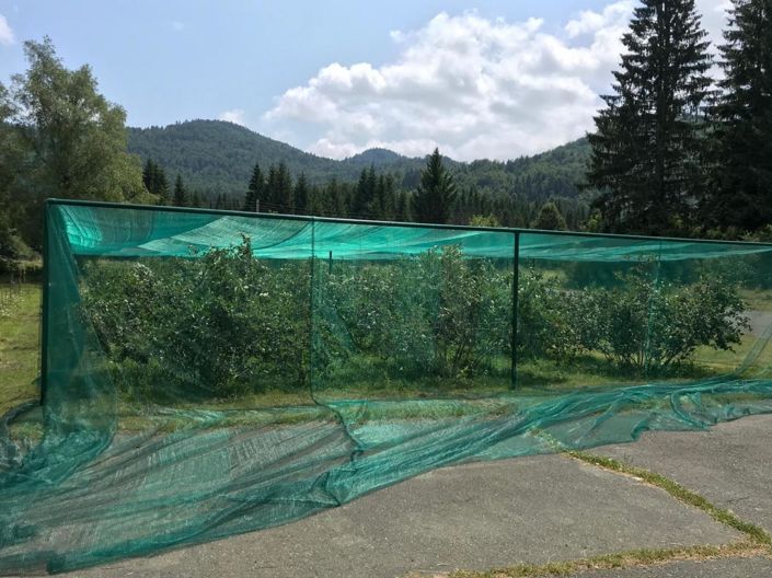 Image No.5-Property for sale