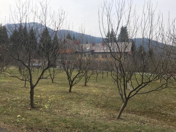 Image No.6-Property for sale