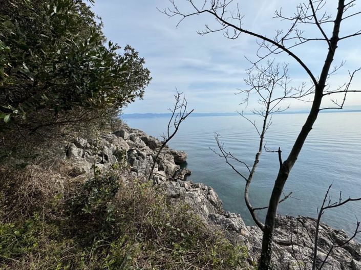 Image No.6-Propriété de 15 chambres à vendre à Mošcenicka Draga