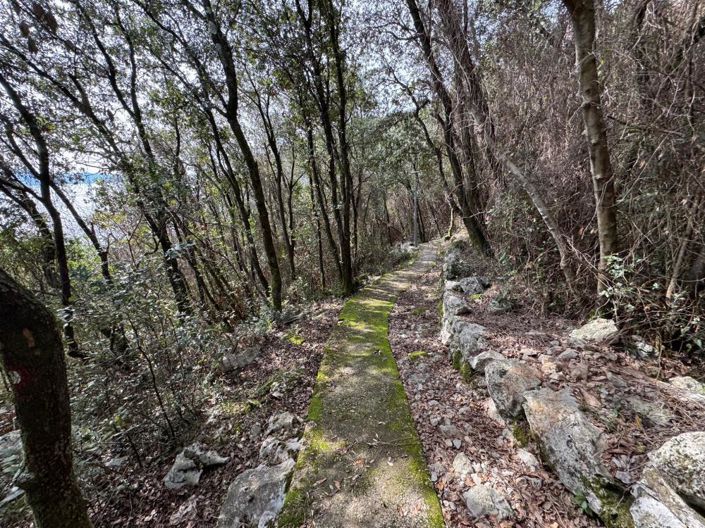 Image No.9-Propriété de 15 chambres à vendre à Mošcenicka Draga