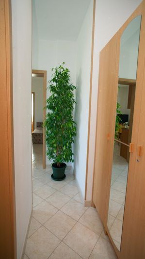 Image No.12-Propriété de 13 chambres à vendre à Pag