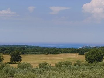 158367-597335