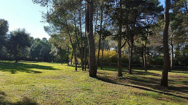 Image No.14-Property for sale