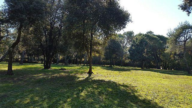 Image No.2-Property for sale