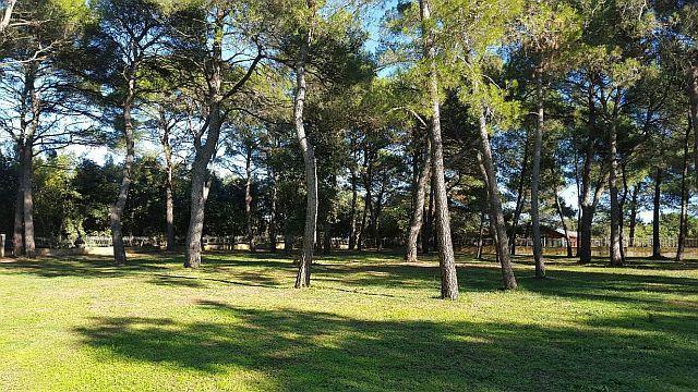 Image No.3-Property for sale