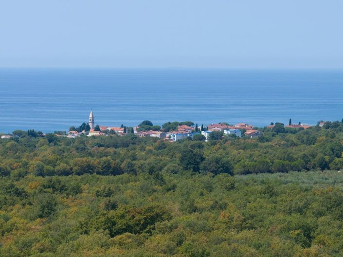 Image No.3-Propriété de 2 chambres à vendre à Umag