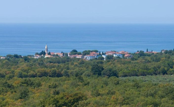 Image No.3-Propriété de 2 chambres à vendre à Umag