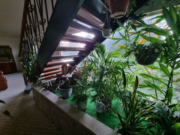 Image No.8-Maison de 6 chambres à vendre à Abrantes