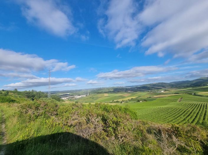 Image No.10-Maison à vendre à Torres Vedras