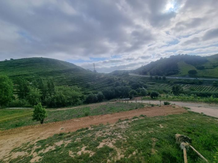 Image No.19-Maison à vendre à Torres Vedras