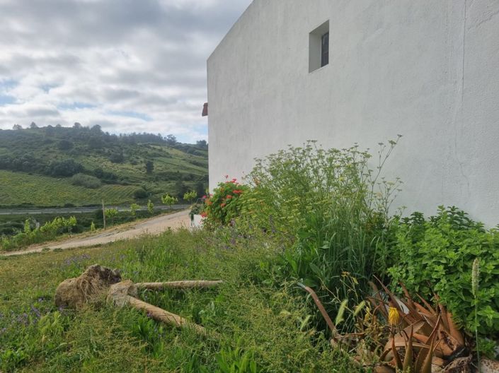 Image No.30-Maison à vendre à Torres Vedras