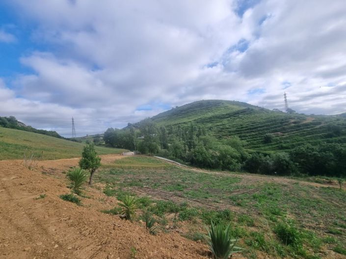 Image No.31-Maison à vendre à Torres Vedras