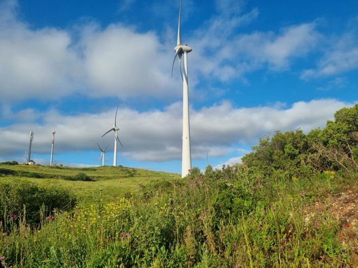 Image No.4-Maison à vendre à Torres Vedras