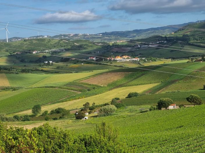 Image No.9-Maison à vendre à Torres Vedras