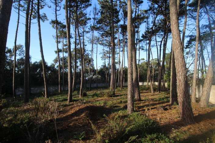 Image No.2-Terre de 3 chambres à vendre à Sintra