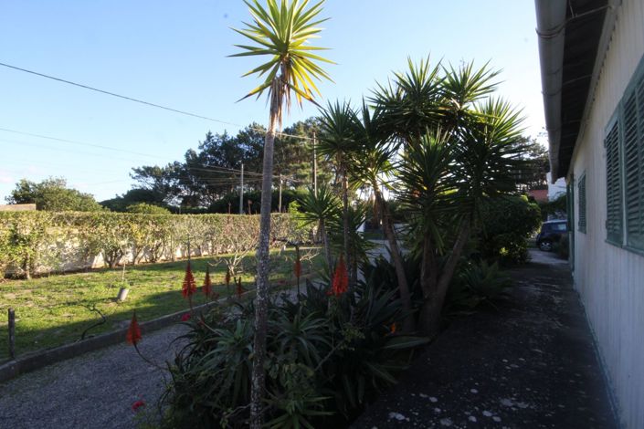 Image No.26-Terre de 3 chambres à vendre à Sintra