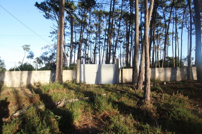 Image No.31-Terre de 3 chambres à vendre à Sintra