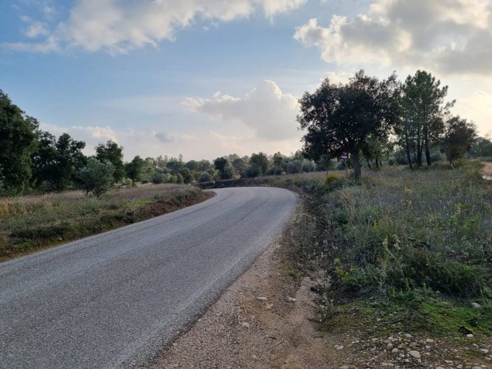 Image No.10-Terre à vendre à Abrantes