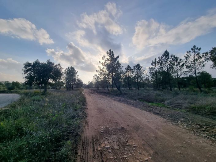Image No.11-Terre à vendre à Abrantes